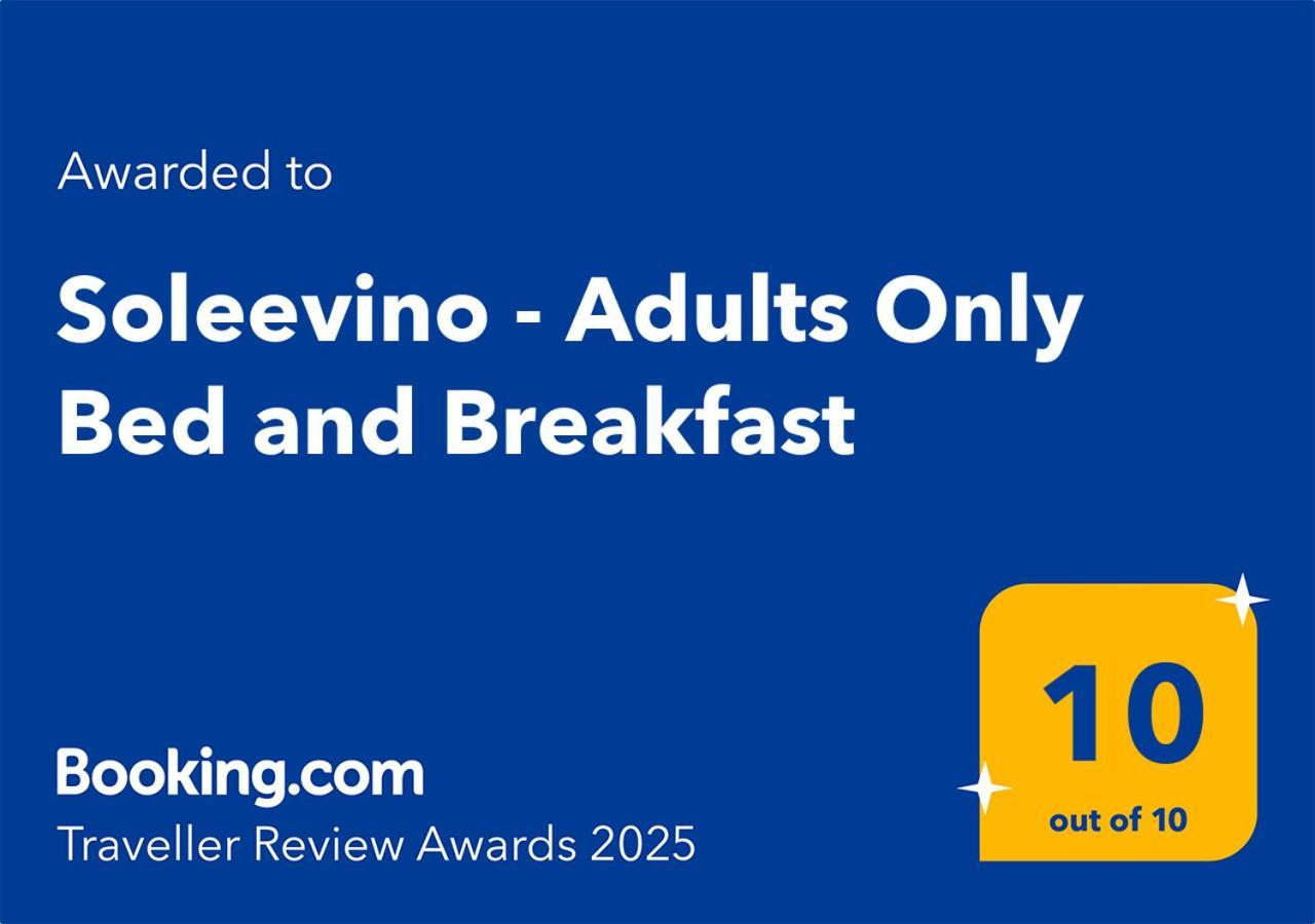 Soleevino B&B - Exclusively For Adults グレーヴェ・イン・キアンティ エクステリア 写真